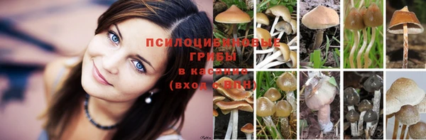 марки nbome Беломорск